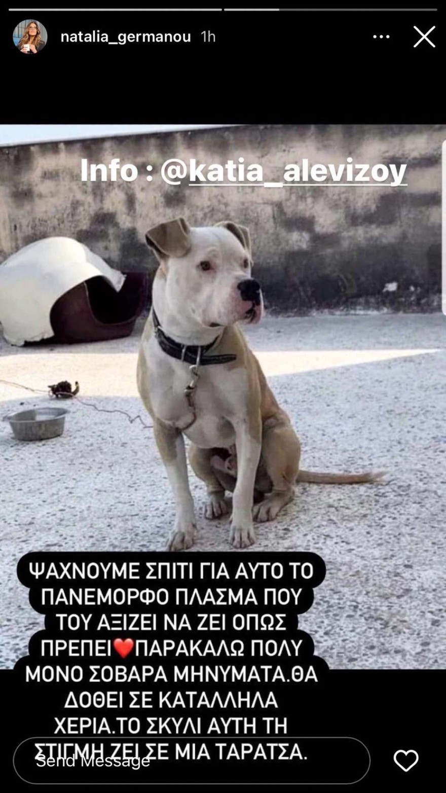 Ανάρτηση Ναταλίας Γερμανού