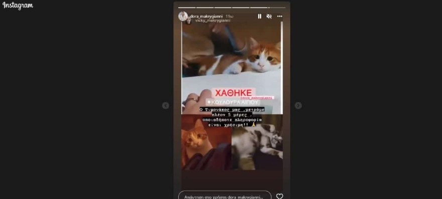 ντορα μακρυγιαννη γατακι