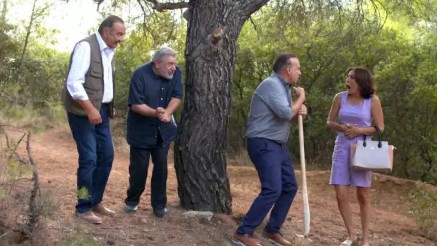 Χαιρέτα μου τον Πλάτανο