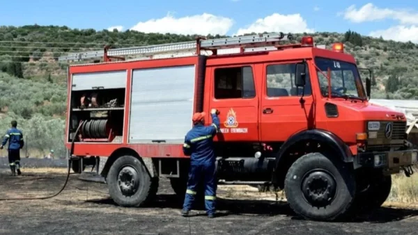 Φωτιά στο Πανόραμα Παλλήνης
