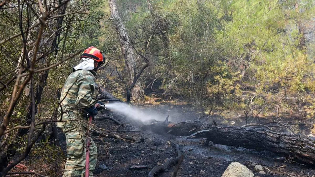 Φωτιά στον Έβρο: Μαίνεται η φωτιά στη Δαδιά για 7η μέρα