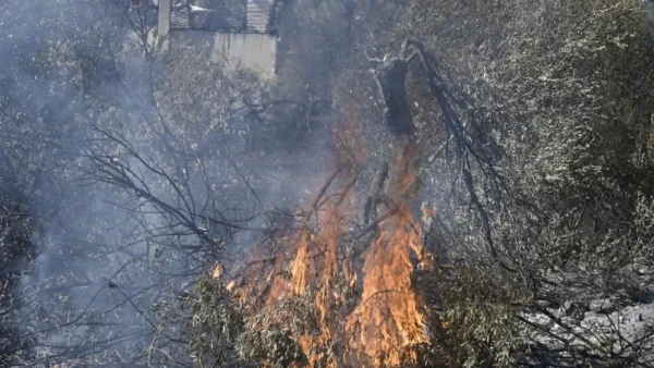 Φωτιά τώρα στη Νέα Κηφισιά