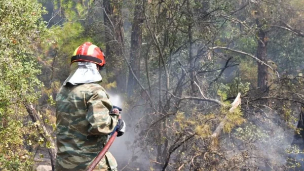 Φωτιά στην Πρέβεζα - Οι κάτοικοι εκκενώνουν το χωριό Βρυσούλα