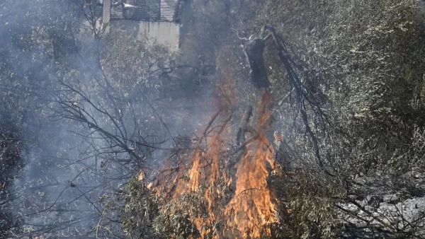 Φωτιά τώρα στην Τζιά