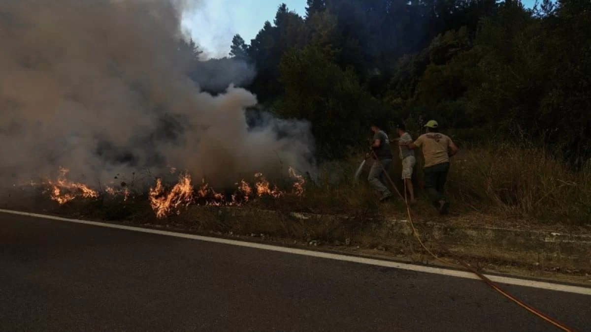 Εξαπλώνεται η φωτιά από το Δίστομο Βοιωτίας - Η ανακοίνωση της πυροσβεστικής