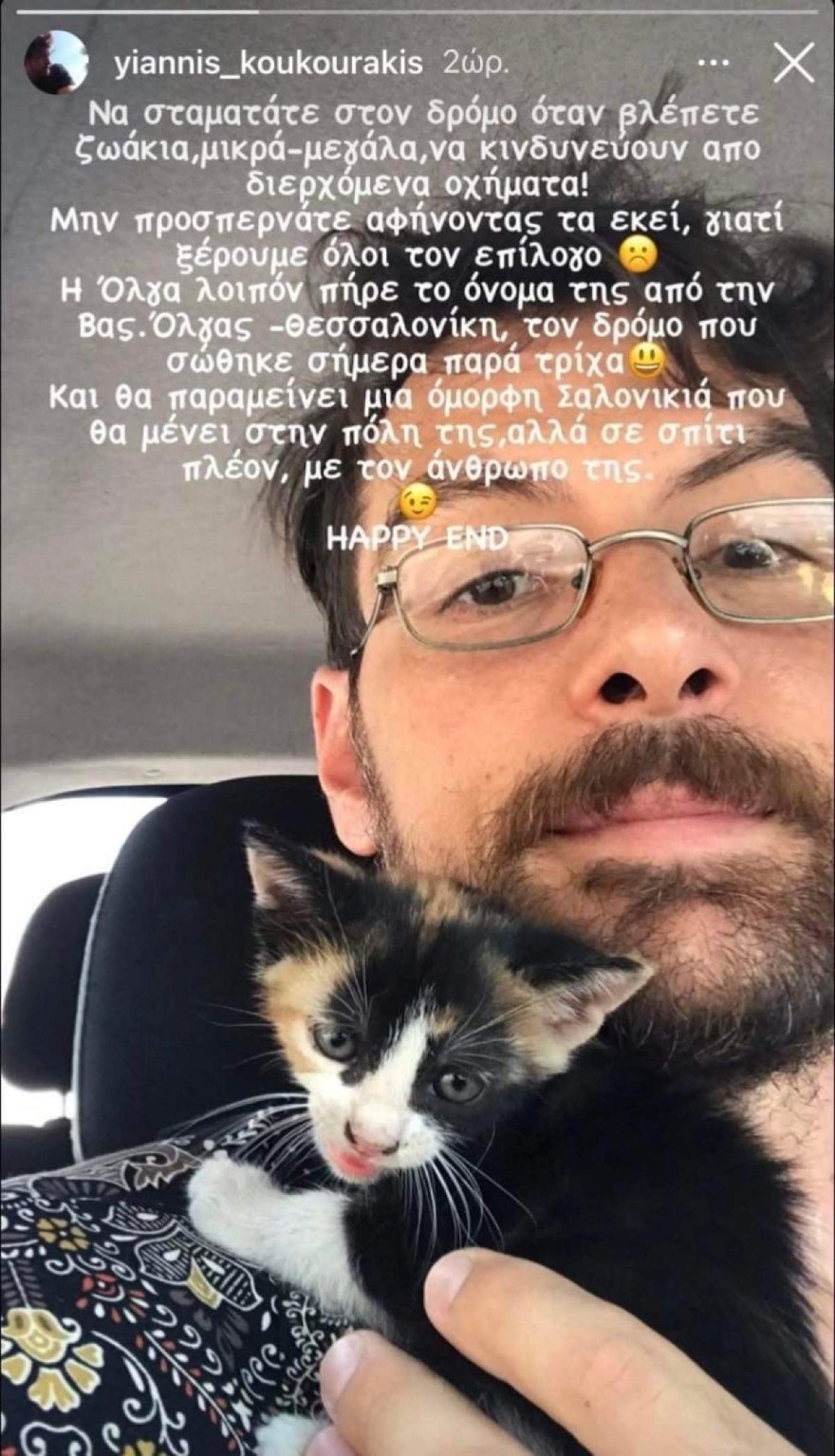 Γιάννης Κουκουράκης αδέσποτη γάτα