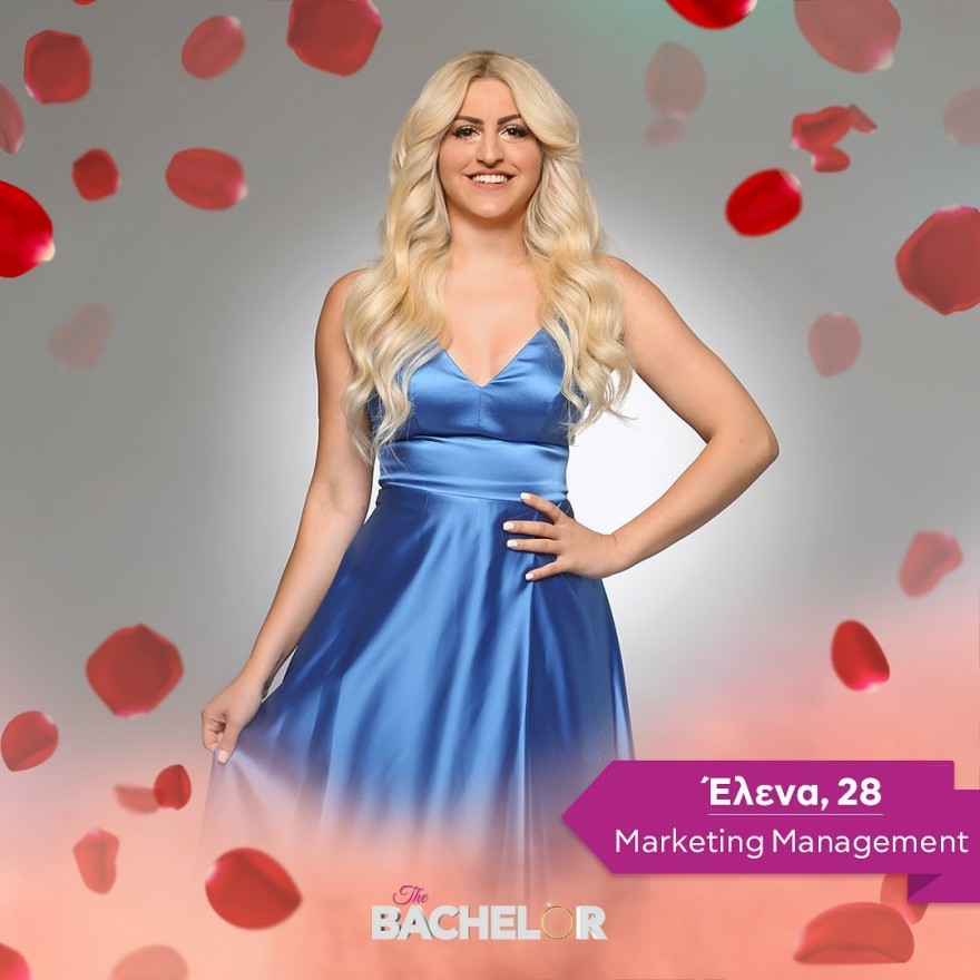 Bachelor alpha