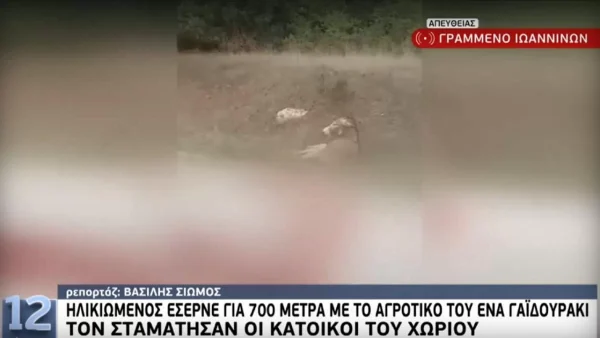 Αδιανόητο περιστατικό στα Ιωάννινα - Ο αντιδήμαρχος Ζίτσας έσερνε ένα γαϊδουράκι με το αυτοκίνητό του