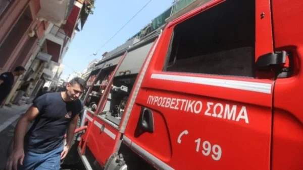 Φωτιά τώρα στη Θεσπρωτία