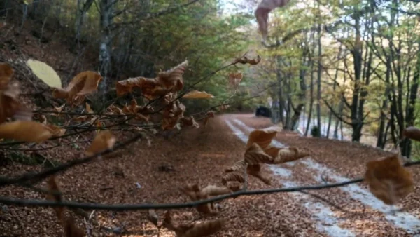 Καιρός 27/11: Με τοπικές βροχές κυρίως στη Θεσσαλία, τη Μακεδονία και... - Ποια η θερμοκρασία