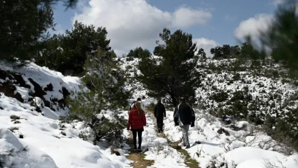 Καιρός: Τσουχτερό κρύο και χιόνι - Που θα φτάσει η θερμοκρασία σήμερα 7/2