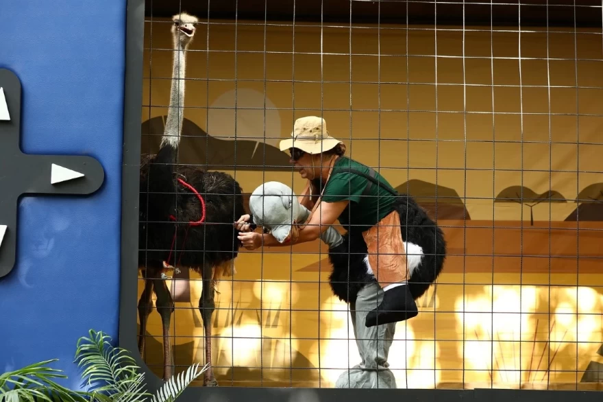 undefined