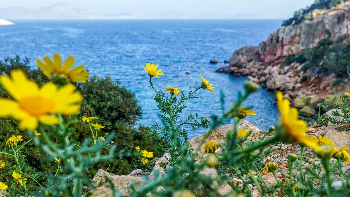 Γενικά αίθριος ο καιρός και σήμερα 11/4 - Που θα σημειώσει μικρή πτώση η θερμοκρασία
