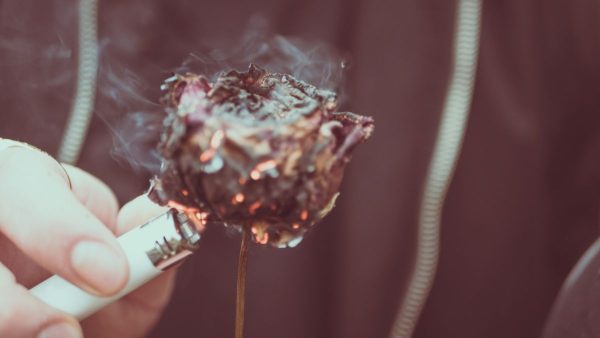 Ένα λουλούδι που καίγεται